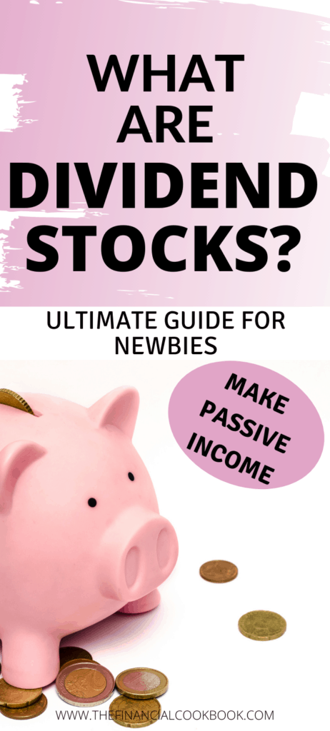 Dividend Stocks Guide for Beginners